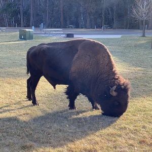 Meet your Posher, Alan